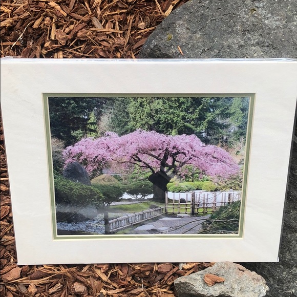 Photographic Art Japanese Gardens Portland - Picture 1 of 2